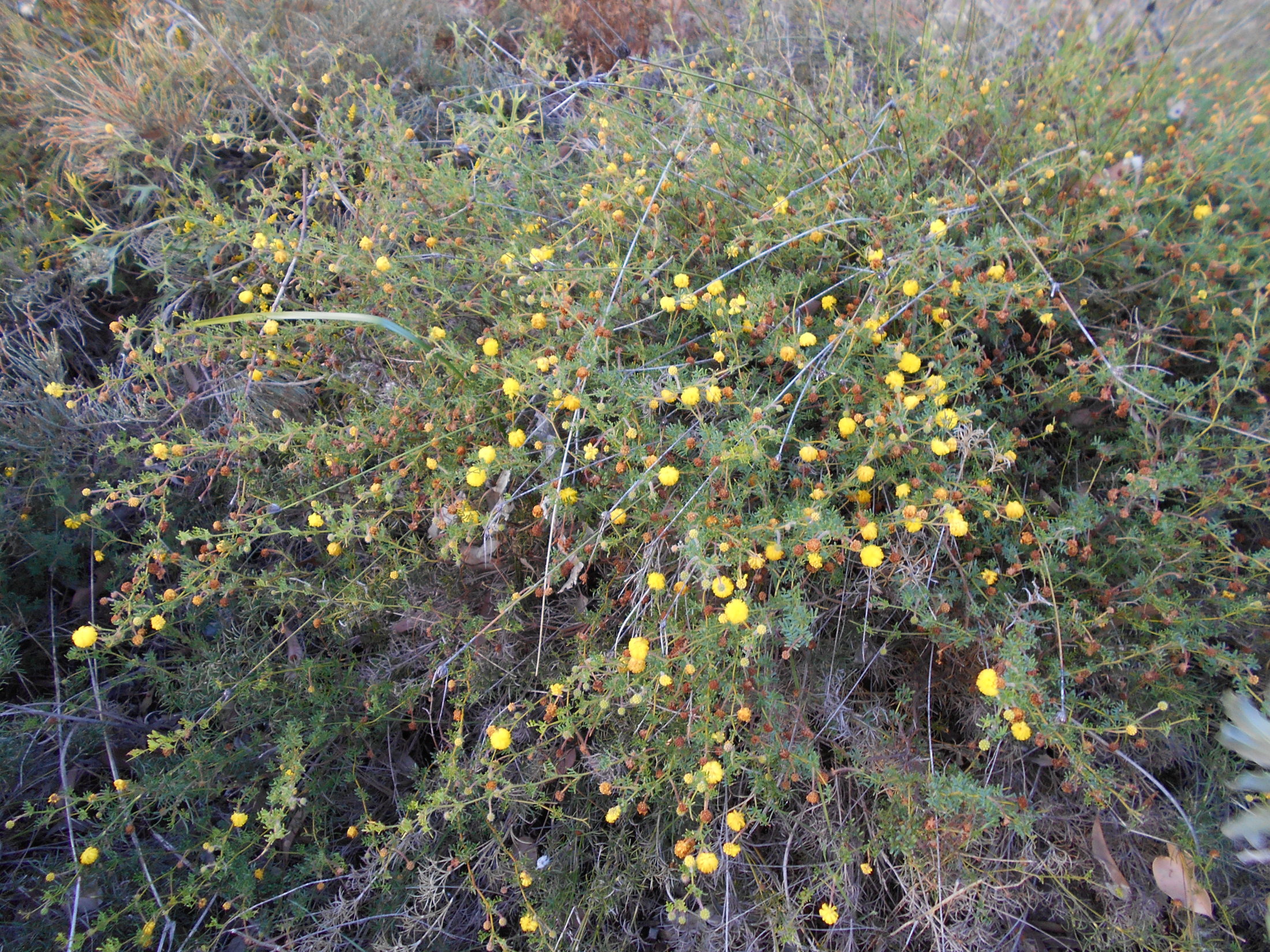 DSCN0354 DSCN0354