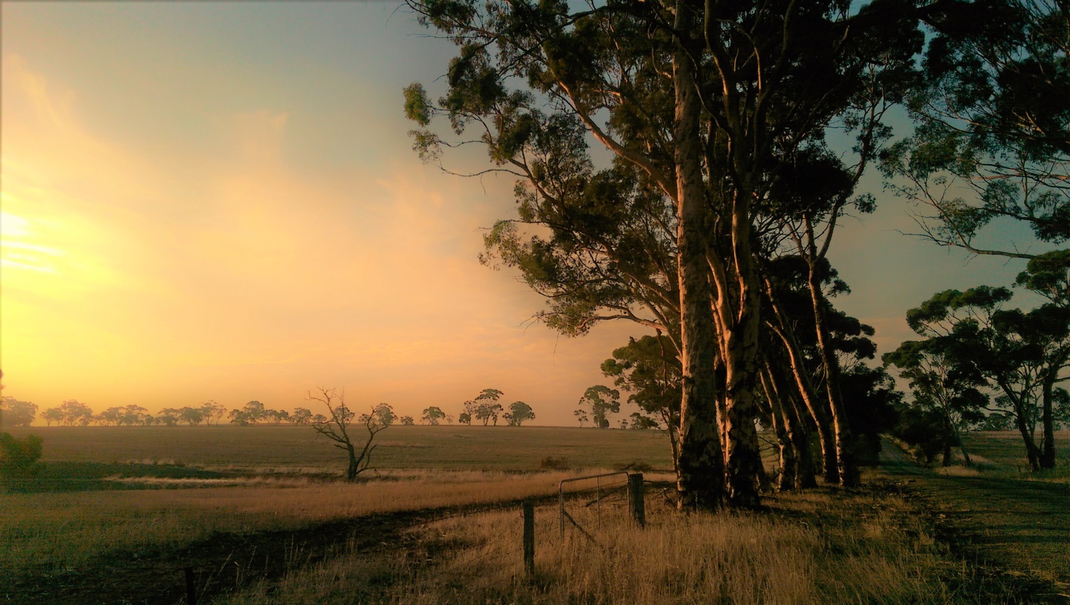 Marwick Rd, Cold Harbour