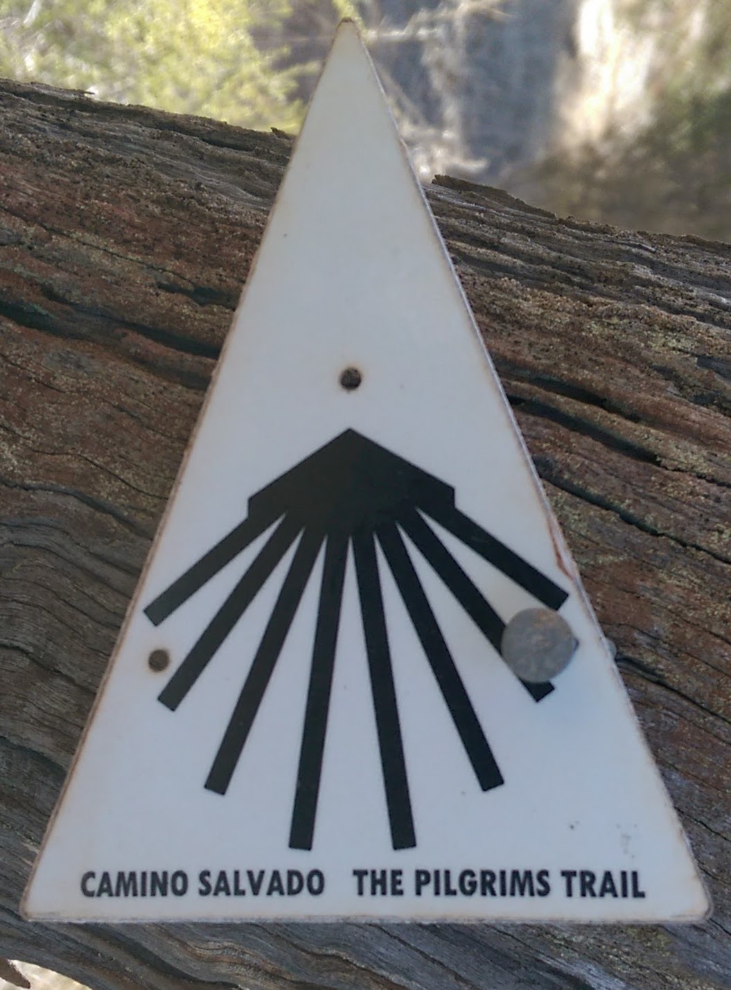 IMAG0859