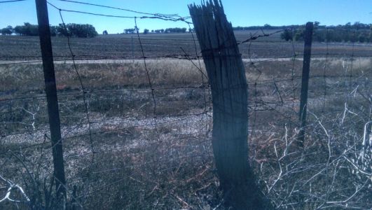 Calingiri Rd, Old Plains